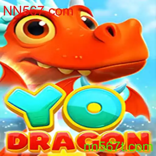 Explorando o Mundo de YoDragon: Um Guia Completo